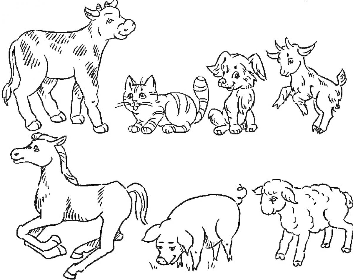 Раскраска Домашние животные: корова, кошка, собака, козленок, лошадь, свинья, овечка