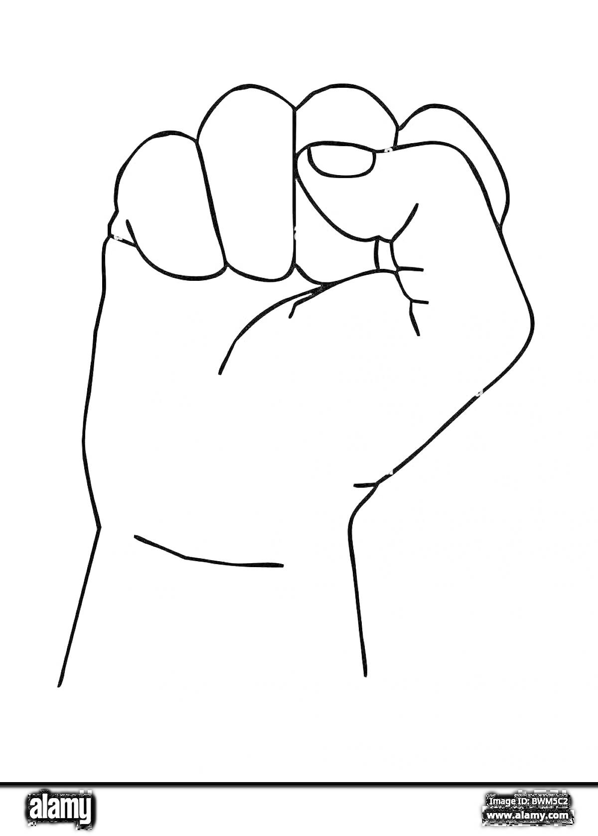 Раскраска Раскраска кулак