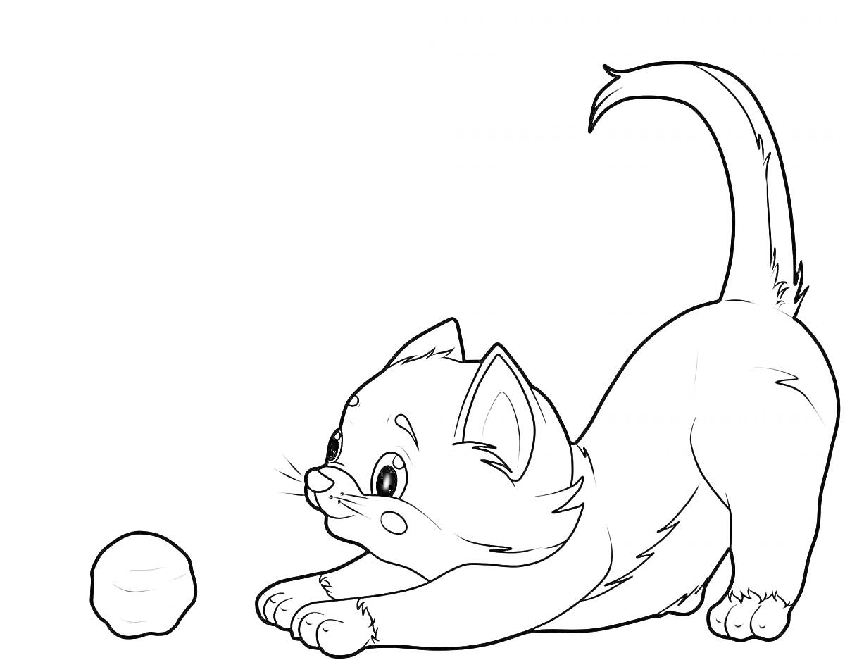 Раскраска Котенок играющий с мячиком