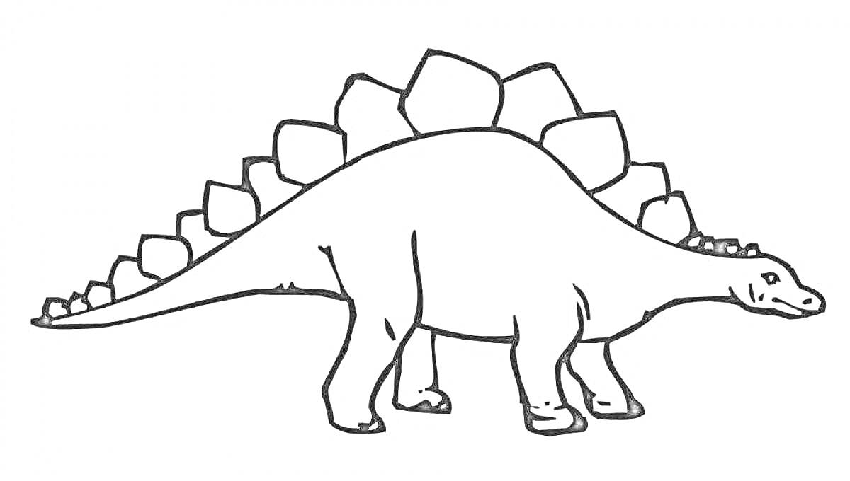 На раскраске изображено: Динозавр, Стегозавр, Творчество, Короткий хвост