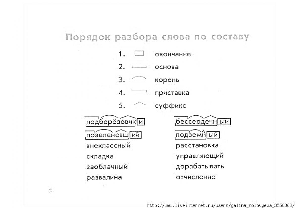 На раскраске изображено: Разбор слова, Состав слова, Окончания, Основа, Подберёзовик