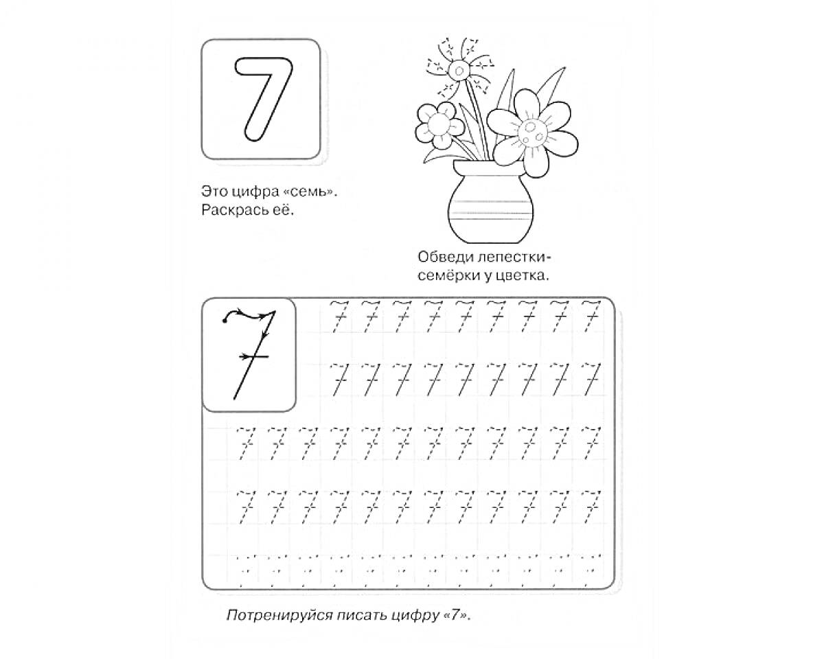 Раскраска Прописи цифры 7, цветы в вазе