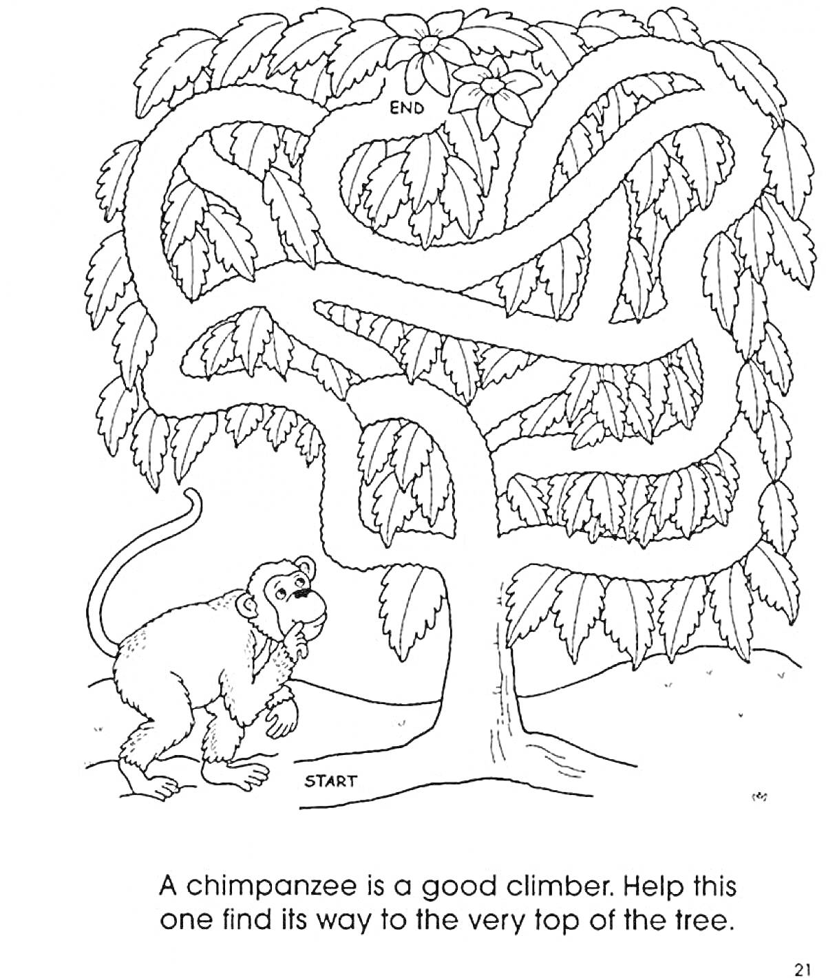 лабиринт на дереве с шимпанзе, листьями и цветком