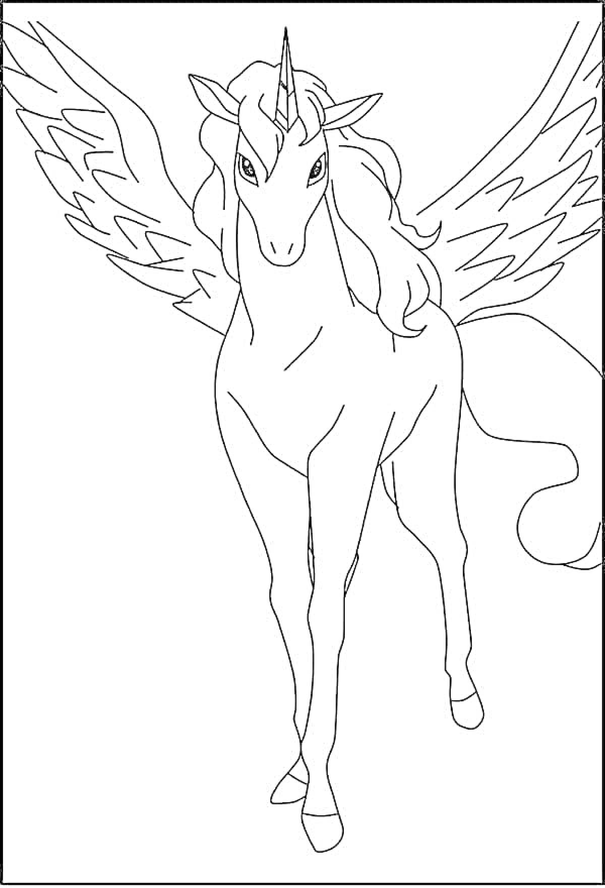 Раскраска Единорог с крыльями и длинной гривой