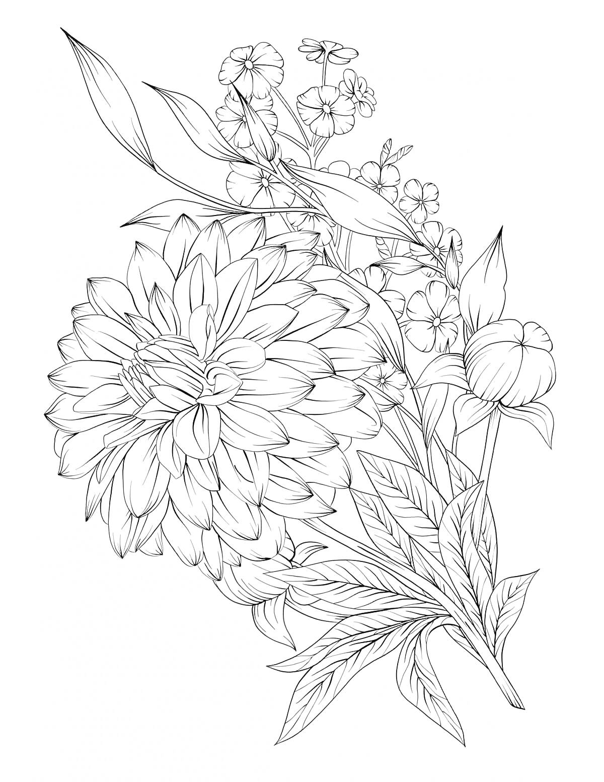 Раскраска Большой цветок с распустившимися и бутонизированными цветами на стебле с листьями