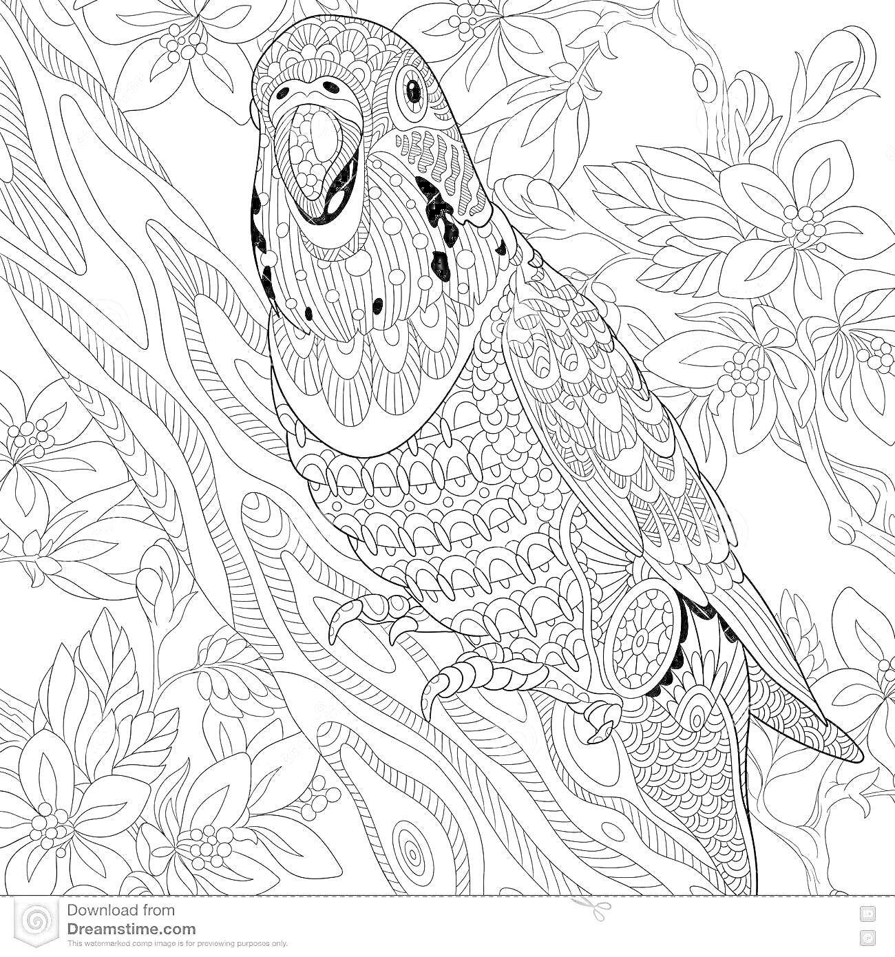 Раскраска Раскраска с попугаем на ветке с цветами