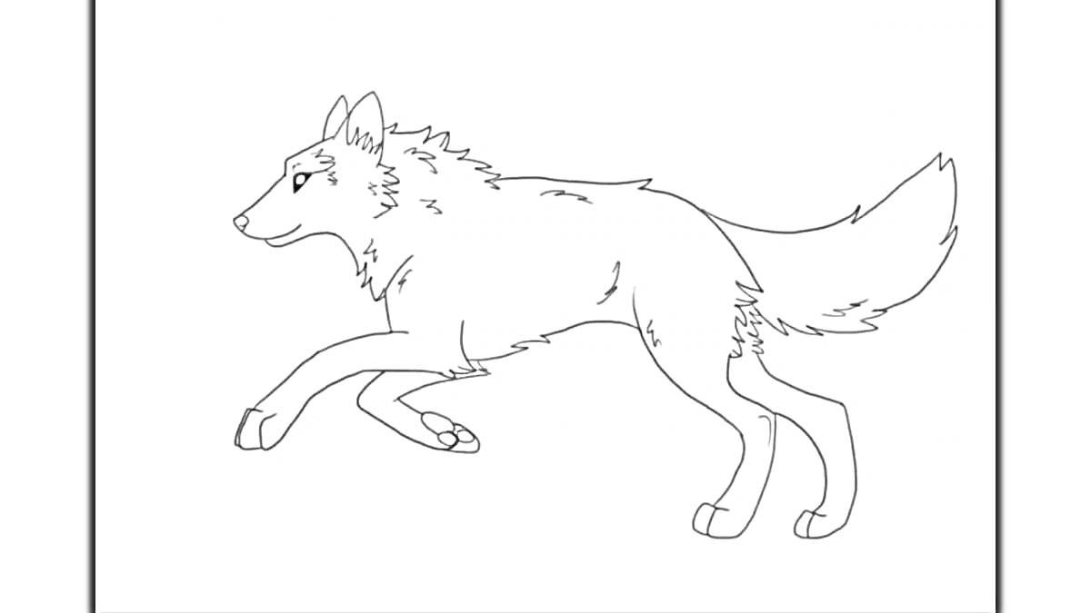 На раскраске изображено: Волк, Бег, Природа, Лес, Дикая природа