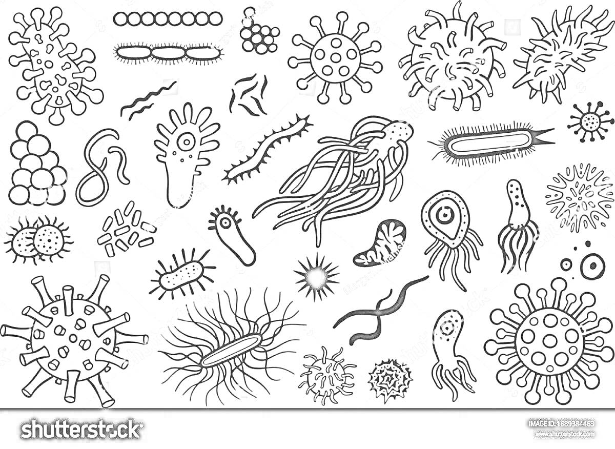 На раскраске изображено: Микробы, Бактерии, Вирусы, Микроорганизмы