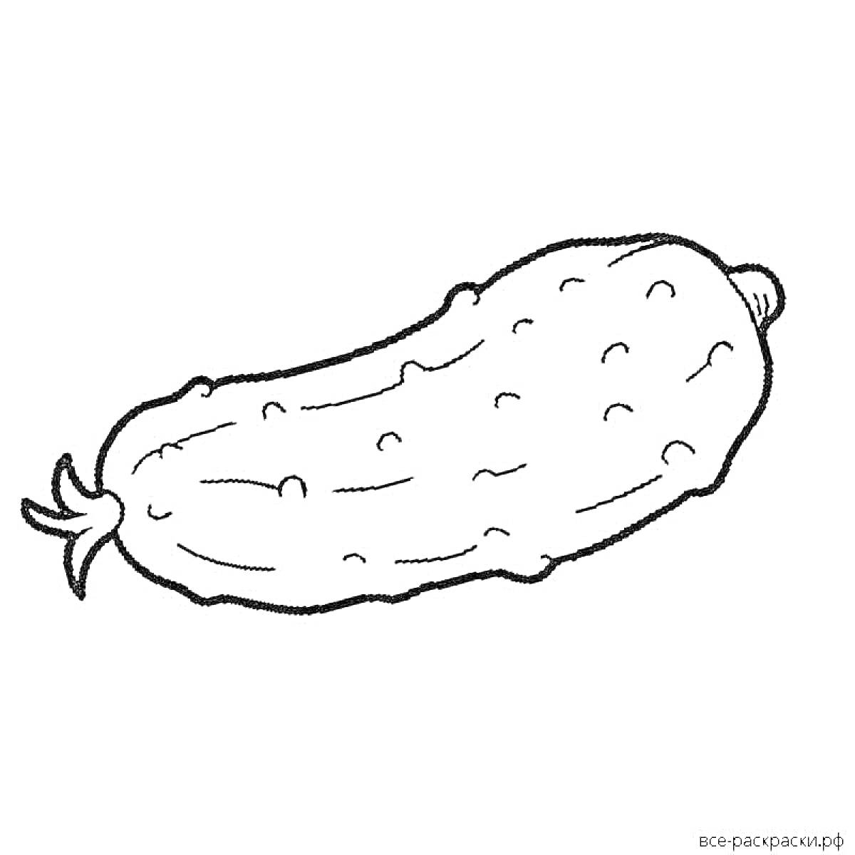 Раскраска Огурец