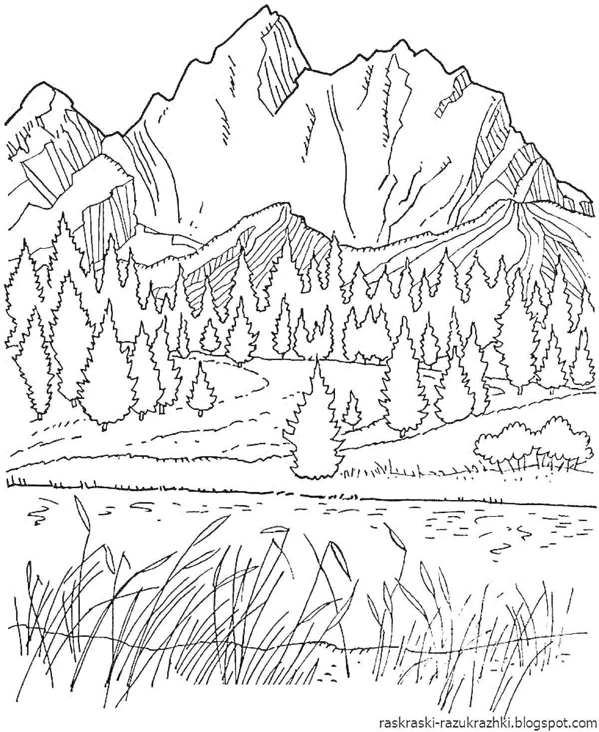 Раскраска Горный пейзаж с лесом, рекой и травой