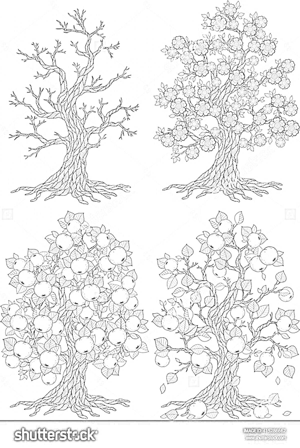 На раскраске изображено: Времена года, Весна, Лето, Осень, Зима, Листья, Цветы, Природа, Голые ветви