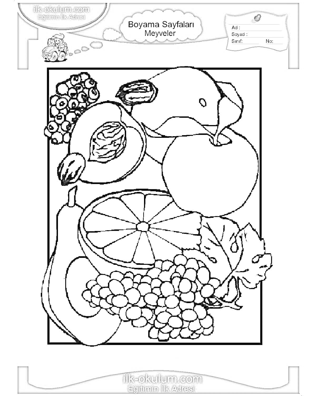 Раскраска Виноград, различные ягоды, авокадо, яблоко, груша, лимон, банан