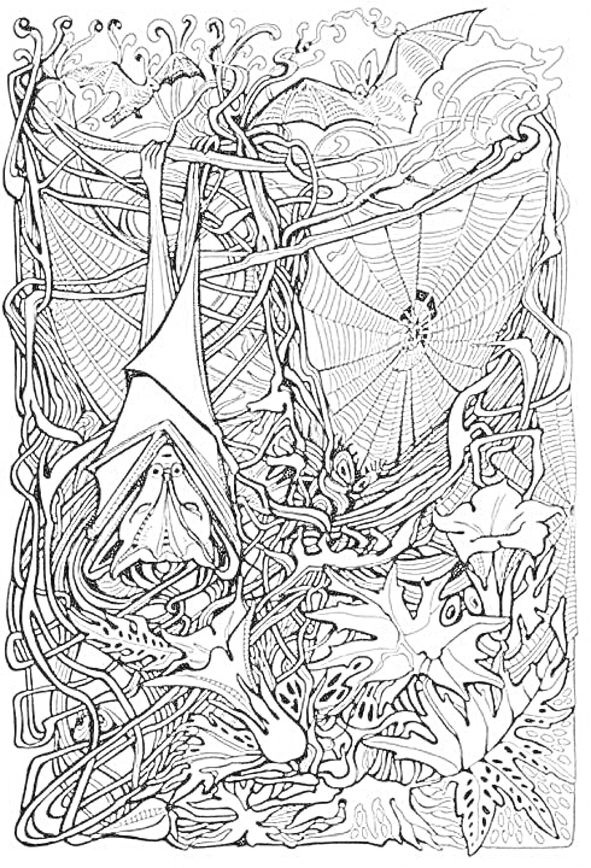 На раскраске изображено: Летучая мышь, Паутина, Растения, Листья, Природа, Ботаника