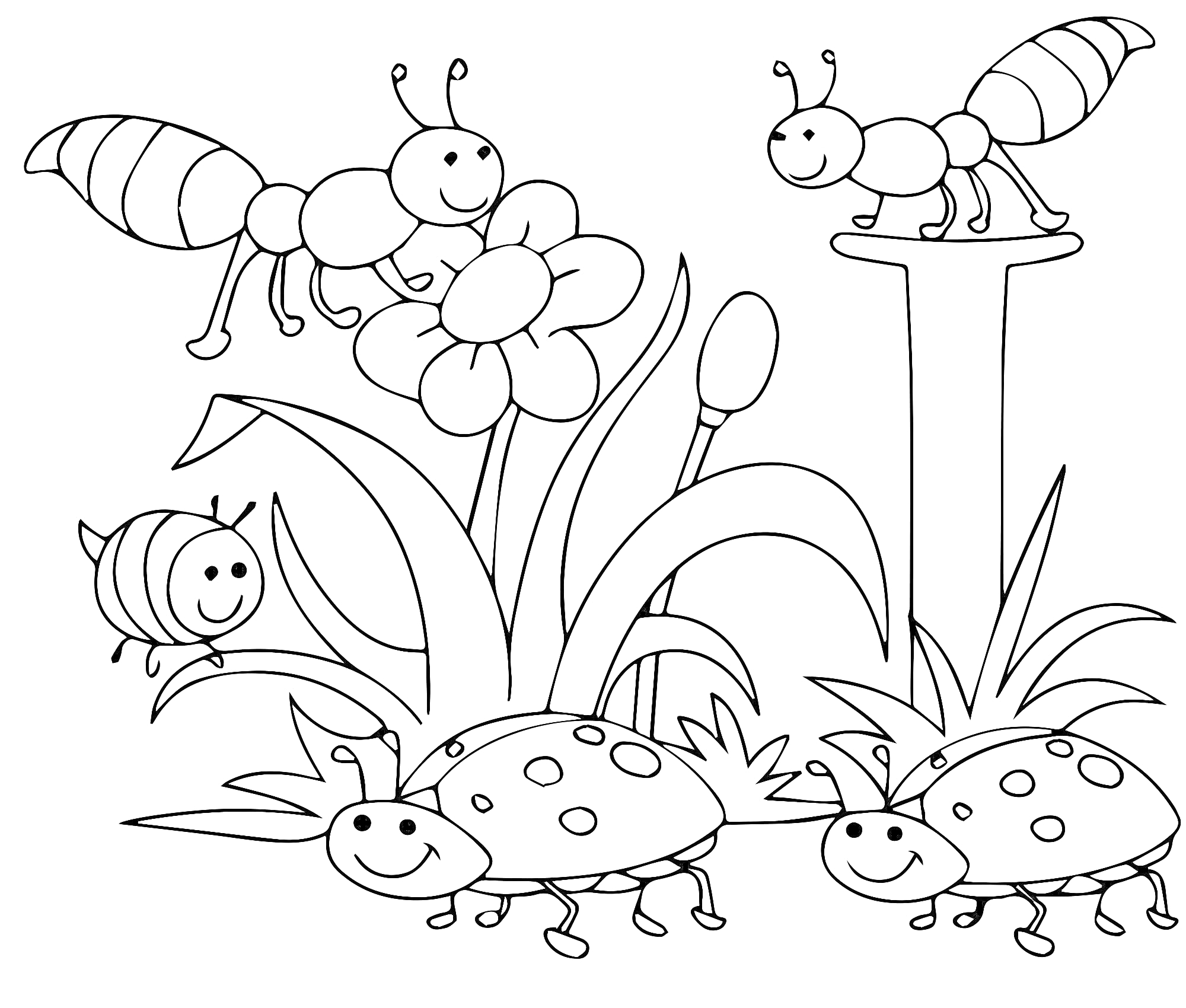 Раскраска Муравьи, пчела, божьи коровки возле цветка и травы