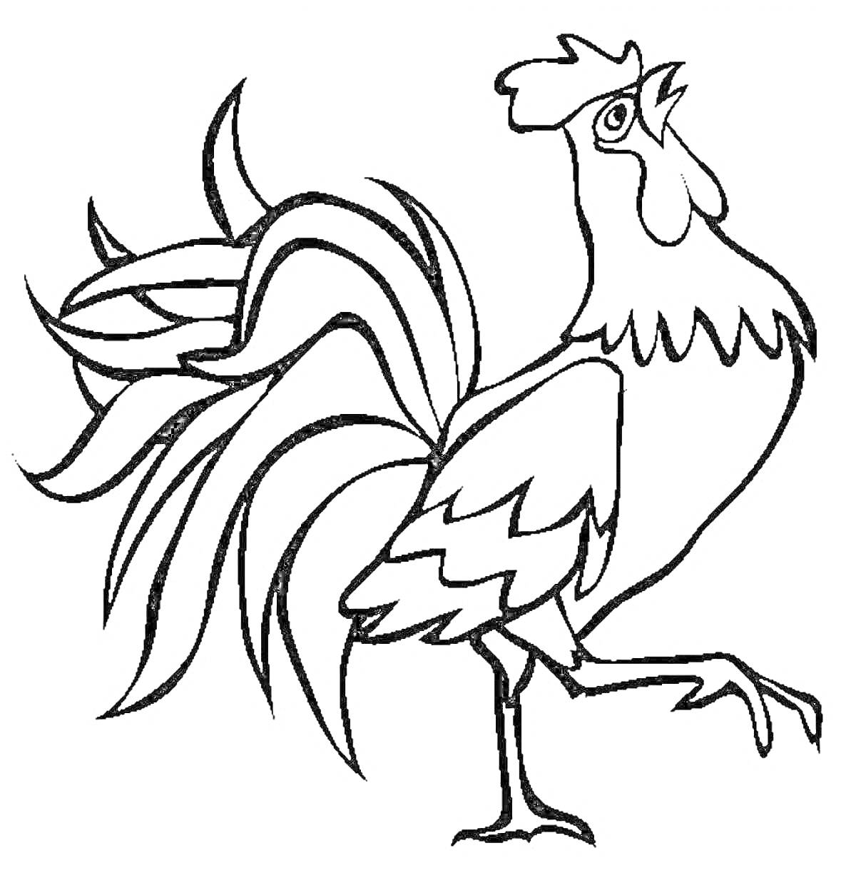 Раскраска Петух с поднятым крылом и пышным хвостом