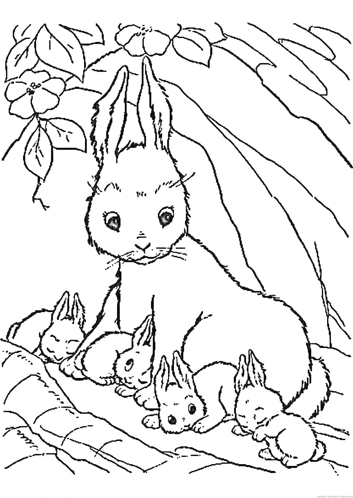 На раскраске изображено: Дикие животные, Кролик, Детеныши, Природа, Цветы, Листья