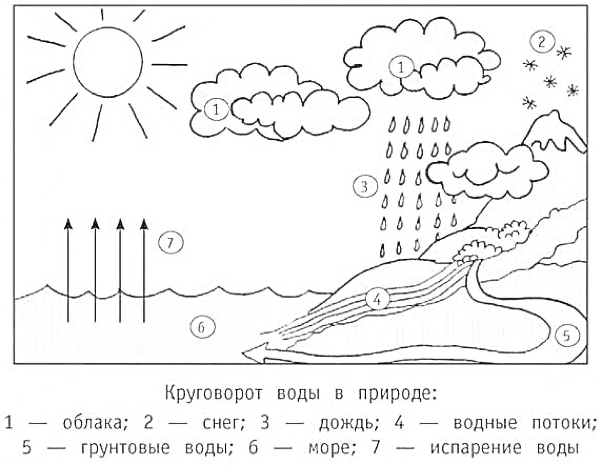 На раскраске изображено: Круговорот воды, Природа, Облака, Снег, Дождь, Море, Испарение