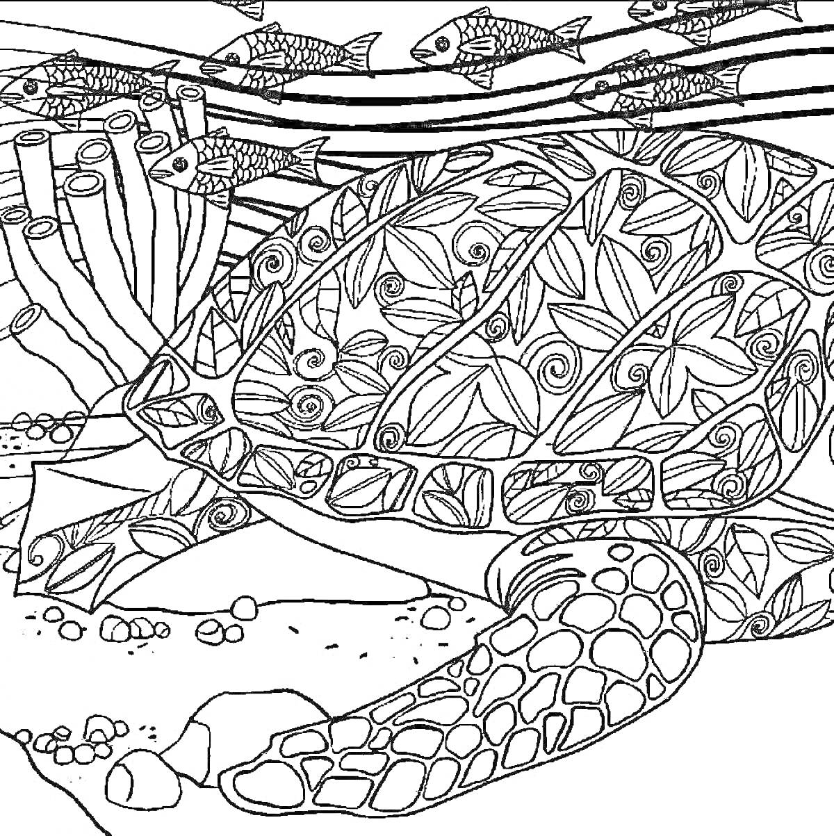 Раскраска черепаха, рыбы, кораллы, водоросли