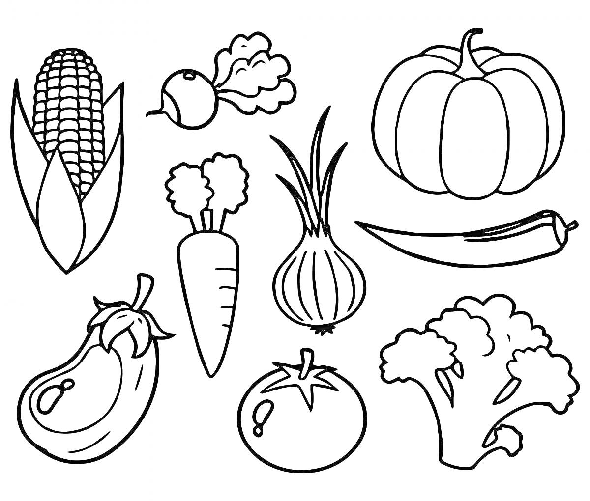 На раскраске изображено: 5 лет, 6 лет, Овощи, Кукуруза, Редис, Тыква, Чили, Морковь, Баклажан, Лук, Помидор, Брокколи
