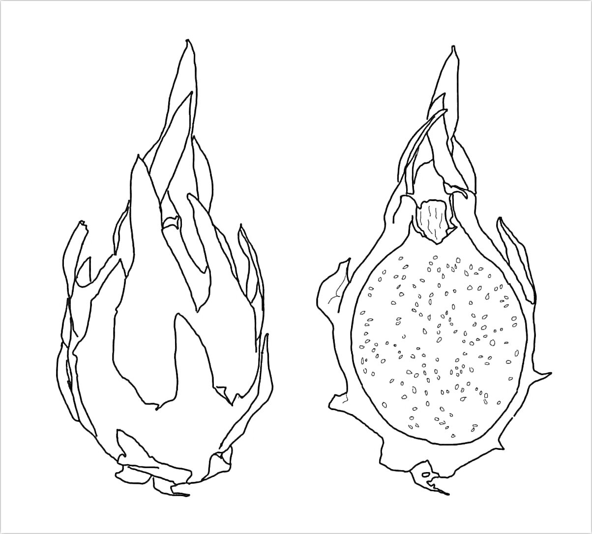 Раскраска Драконий фрукт: целый и разрезанный