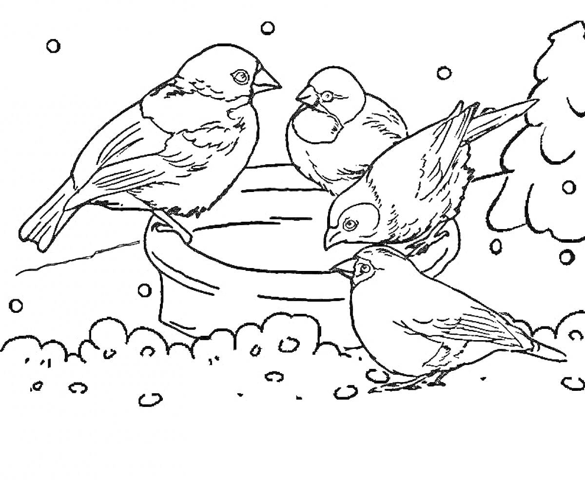 Раскраска Зимние птицы возле кормушки и ели на снегу