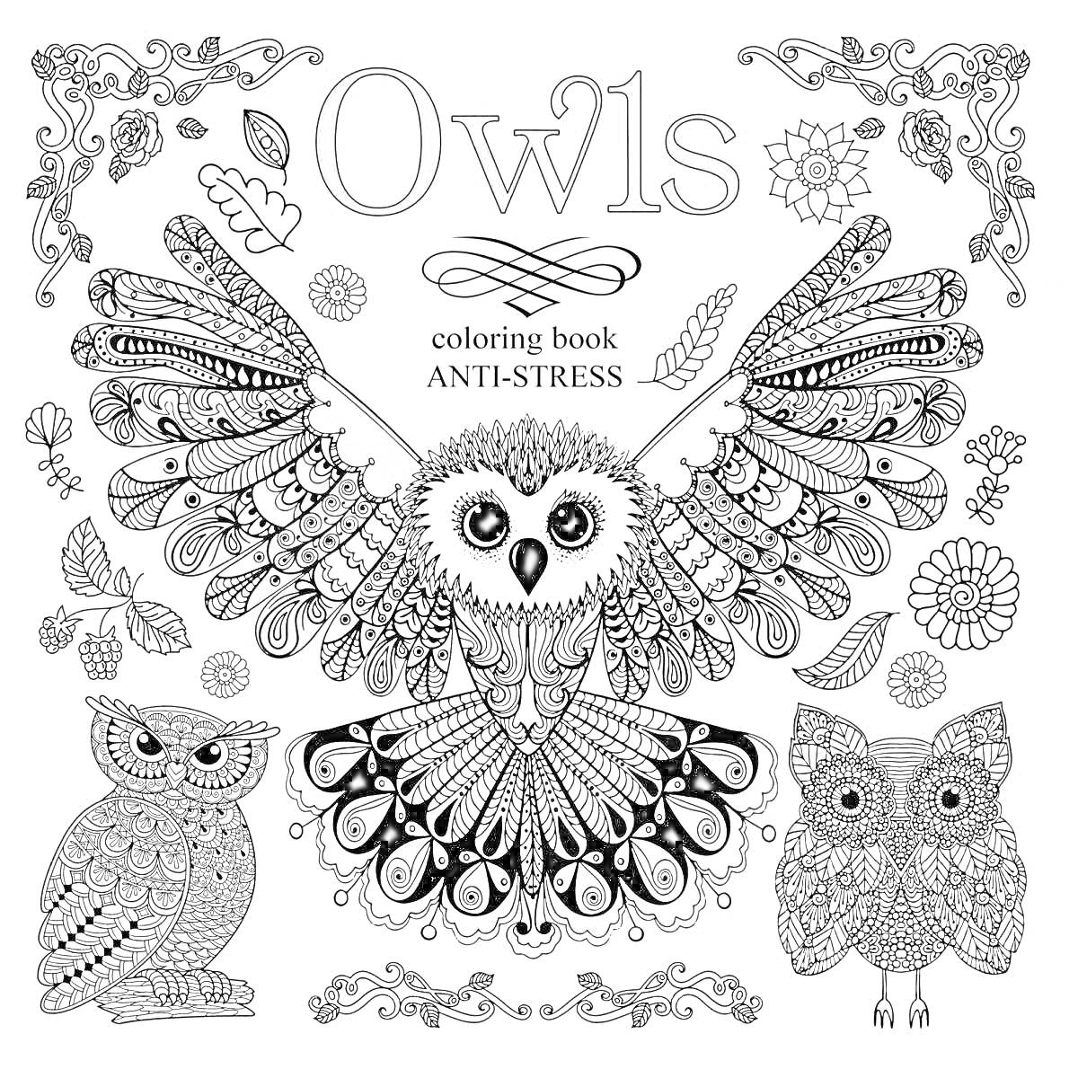 Раскраска Owls coloring book ANTI-STRESS - совы с распахнутыми крыльями, две сидящие совы, цветы, листья, узоры, декоративные элементы