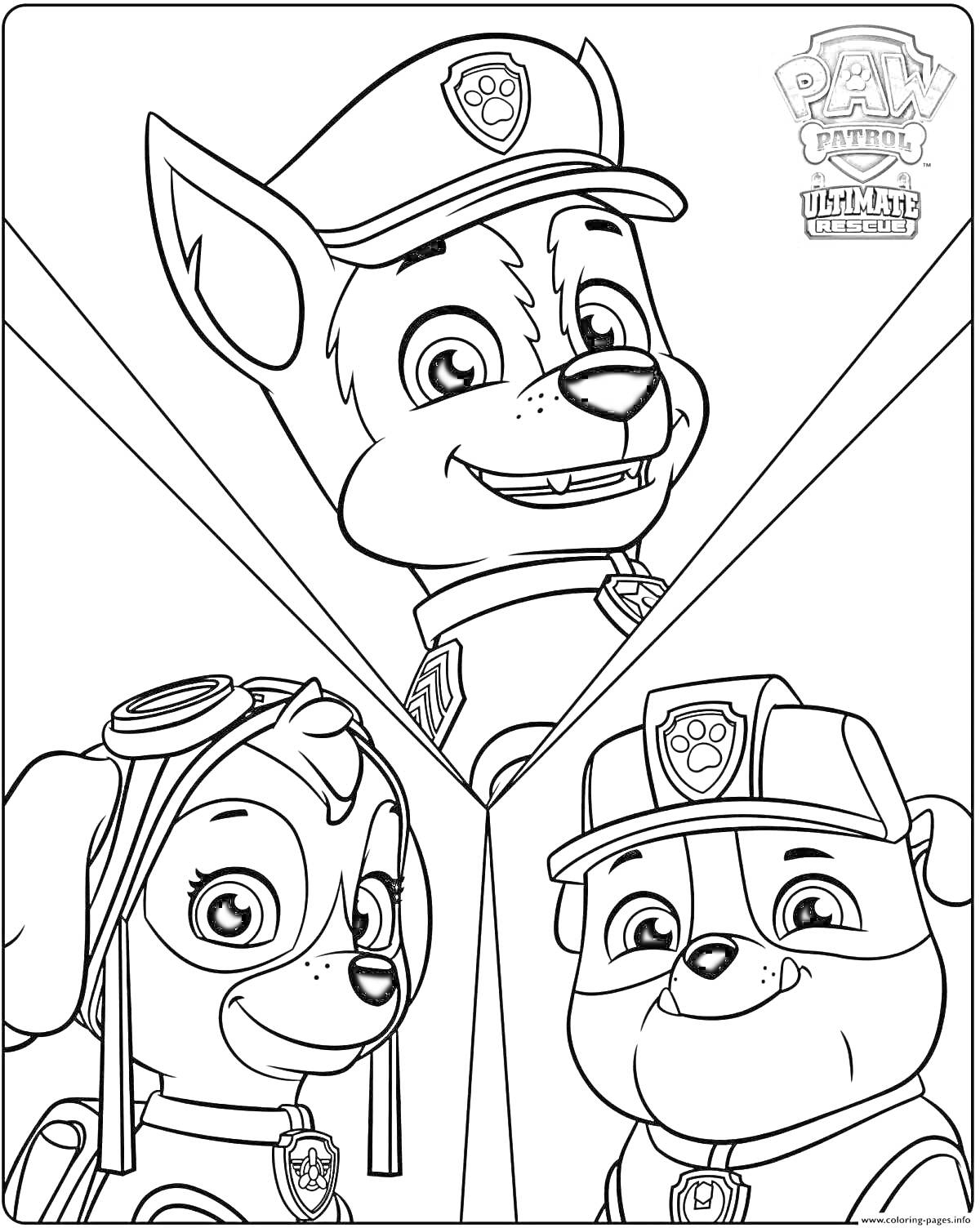 На раскраске изображено: Гонщик, Скай, Щенячий патруль, Paw Patrol