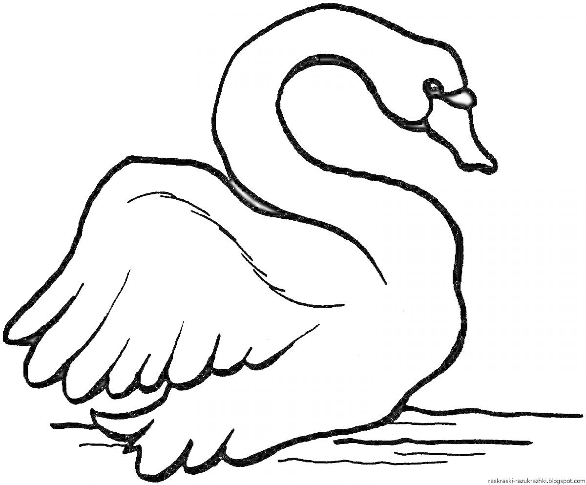 На раскраске изображено: Лебедь, Птица, Вода, Для детей, Плавание