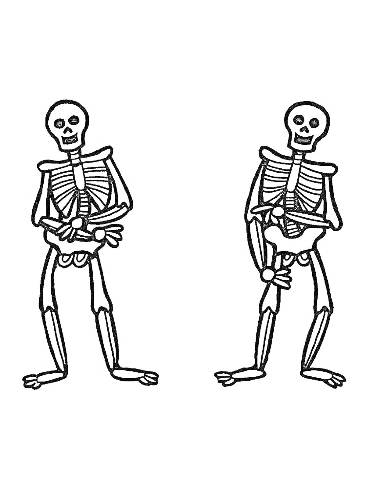 Раскраска Два скелета с перекрещенными ногами и сложенными руками