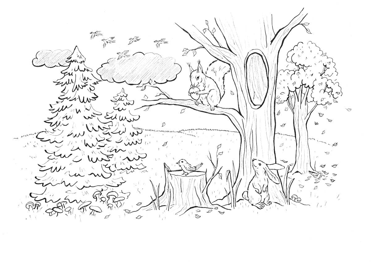 На раскраске изображено: Белка, Заяц, Пень, Деревья, Природа, Лес, Лесные животные, Облака, Листья