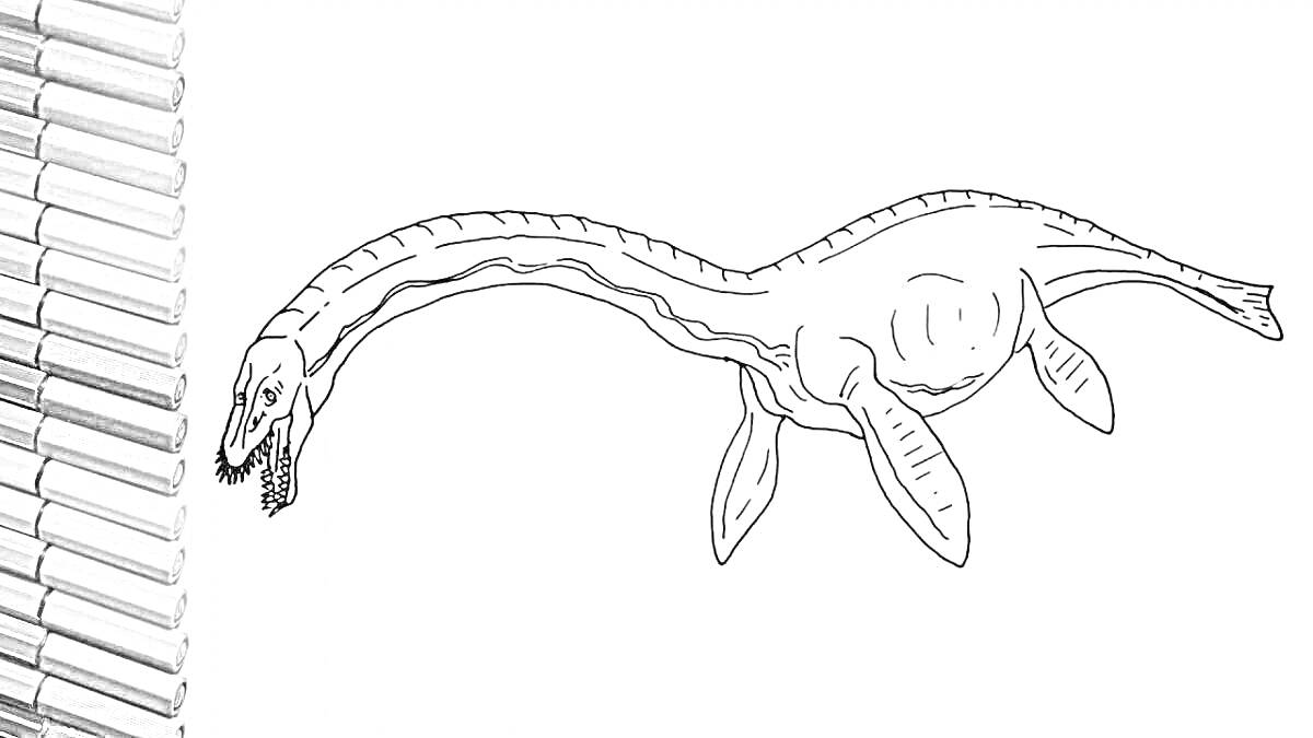 Раскраска Плезиозавр с длинной шеей и веслами