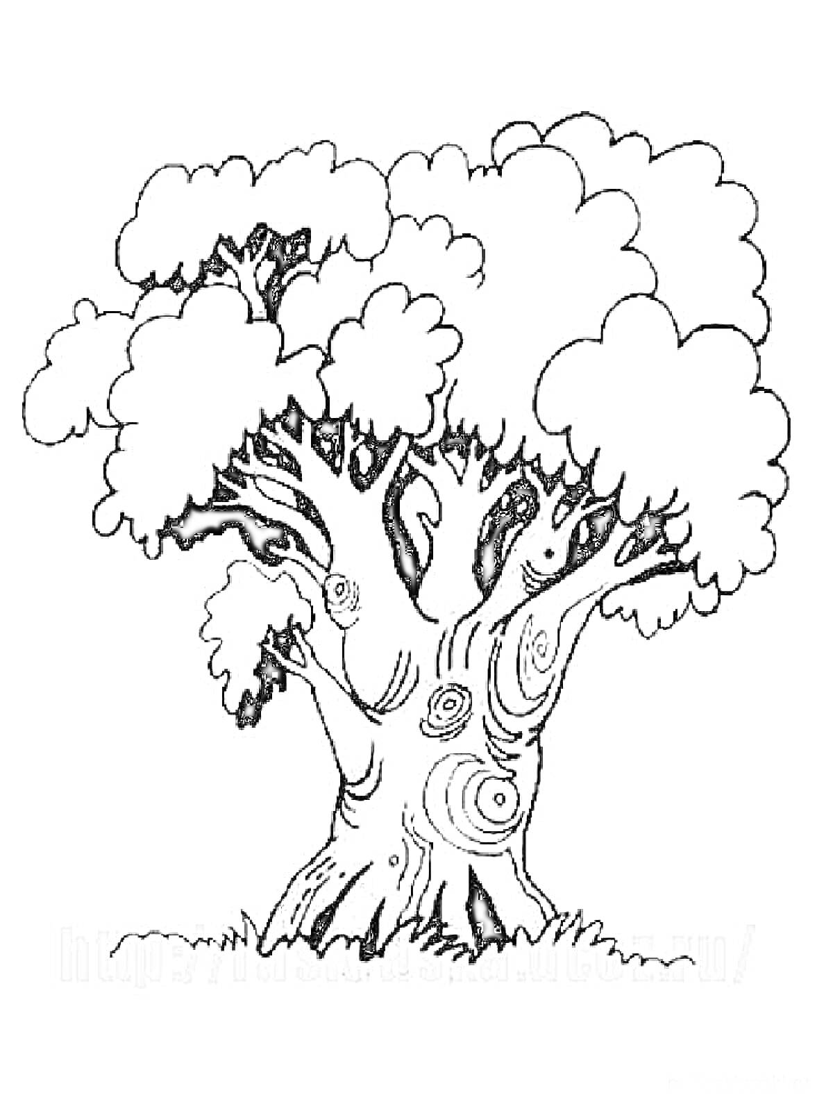 Рисунок дерева с пышной кроной и видимыми кольцами на стволе