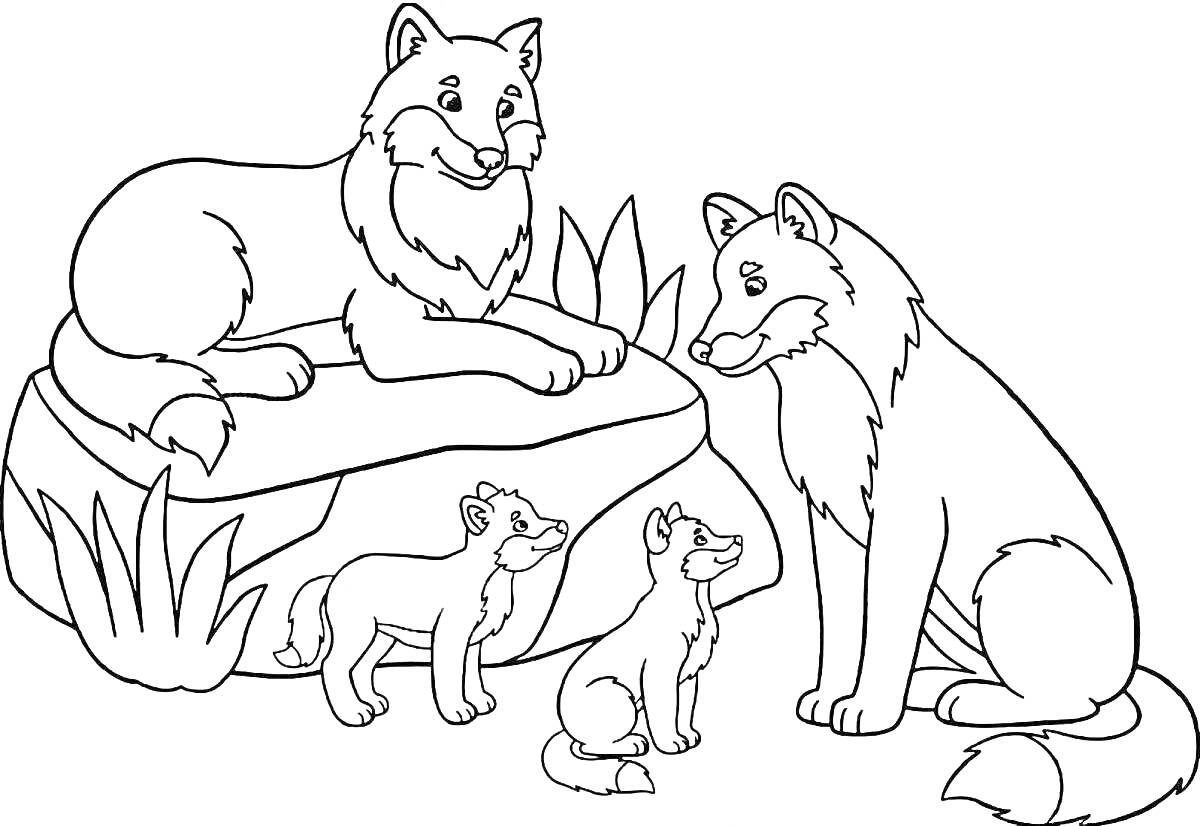 На раскраске изображено: Лиса, Трава, Семья, Природа, Животные, Звери, Детеныши