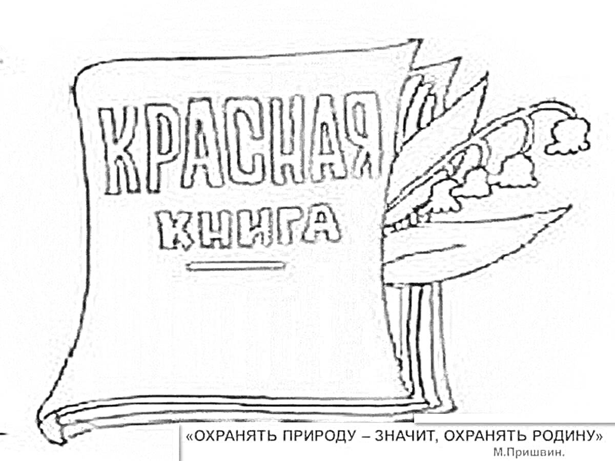 На раскраске изображено: Красная книга, Россия, Природа, Охрана природы, Ландыш, Экология, Сохранение природы, Растения, Книга, Защита природы