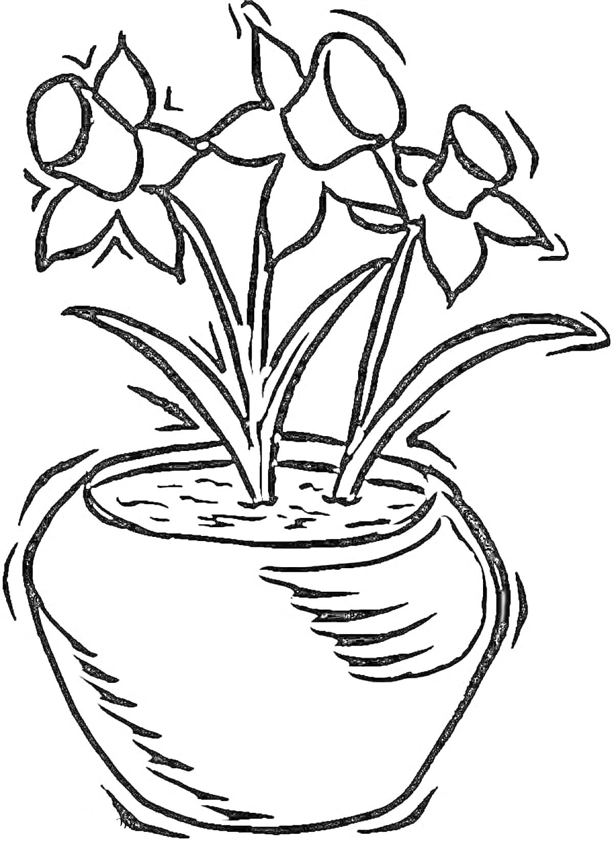 На раскраске изображено: Нарциссы, Цветы, Растения, Цветочный горшок, Листья, Горшки
