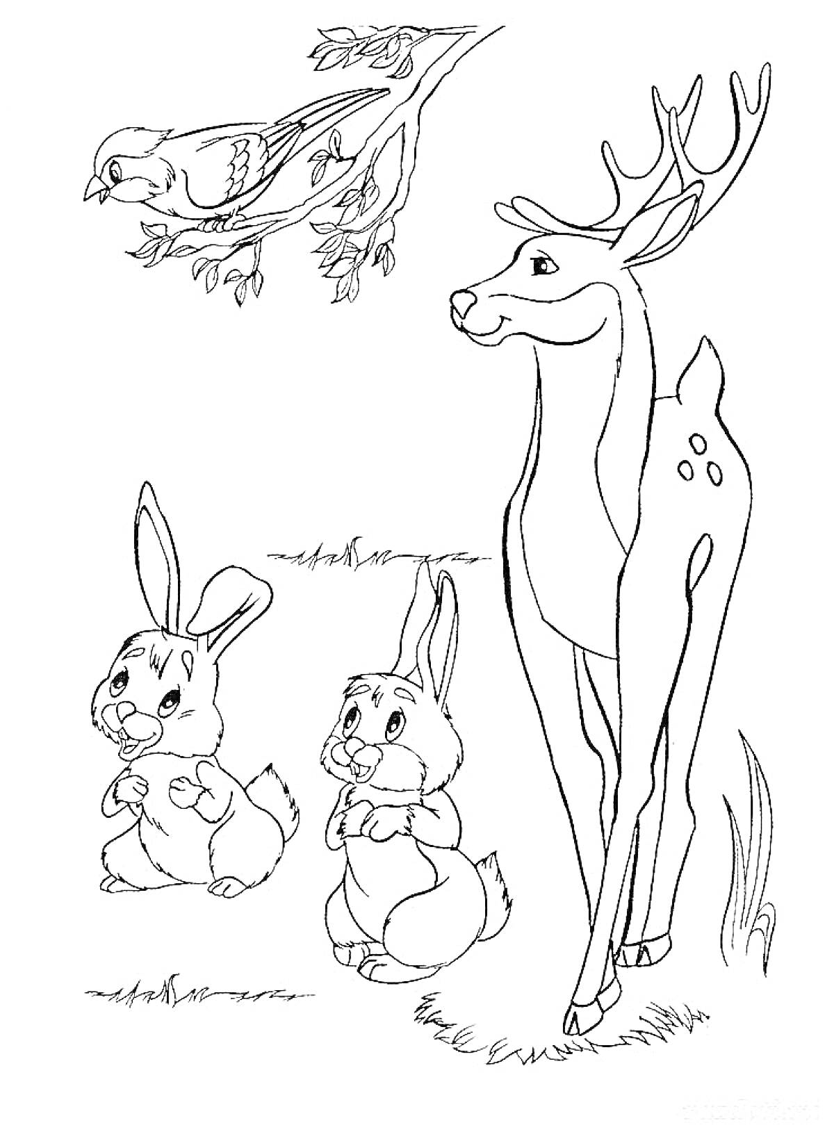 Раскраска Лесные животные: олень, два зайца и птица на ветке деревья