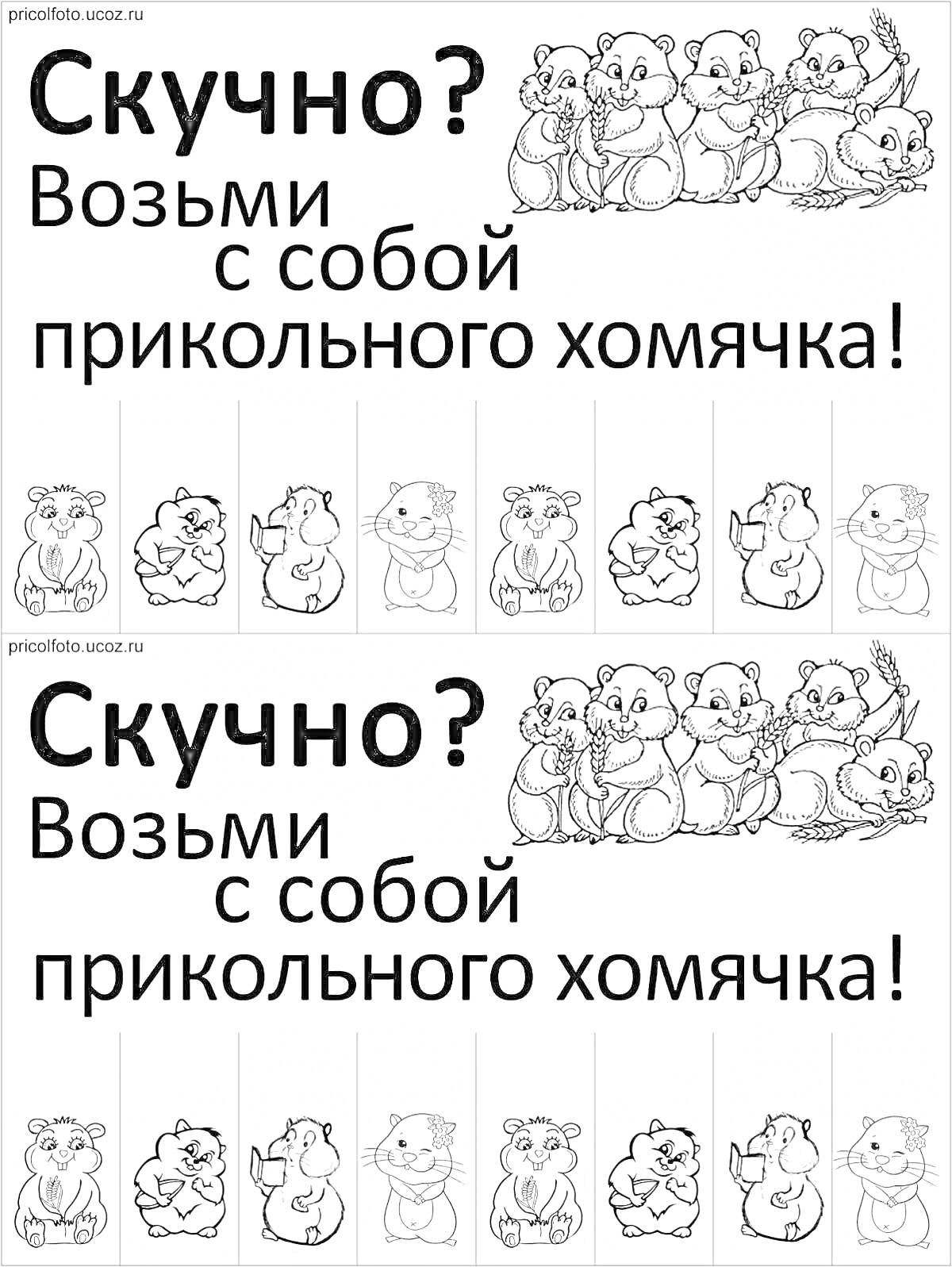 На раскраске изображено: Хомяки, Развлечения, Животные, Грызуны, Детское творчество, Черно-белые изображения