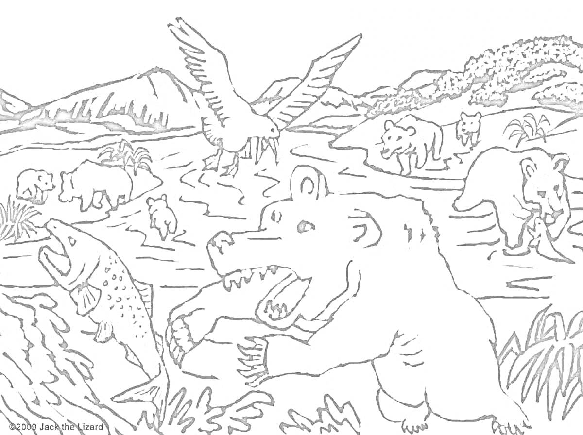 Раскраска Медведи ловят рыбу на реке в заповеднике, горы на заднем плане, летающая птица, кусты и трава