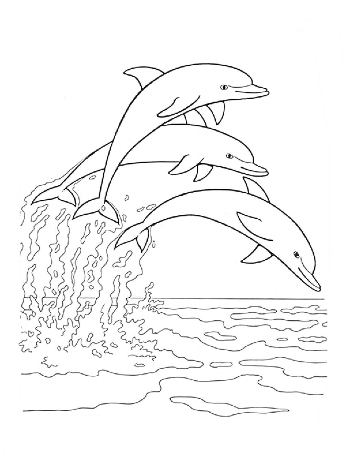 Раскраска Три дельфина, прыгающие из воды над океанскими волнами.