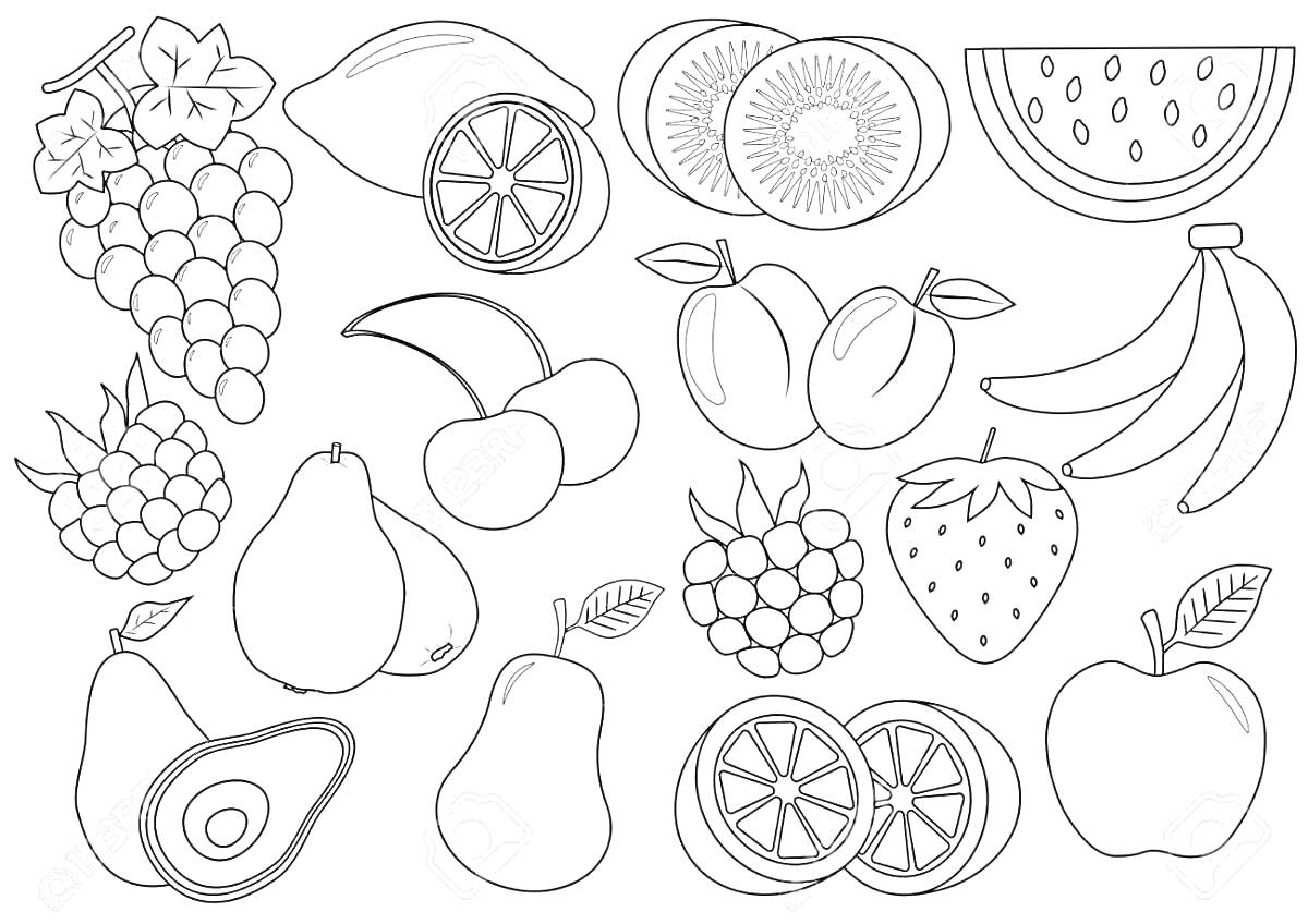 Раскраска виноград, лимон, киви, арбуз, малина, черешня, слива, банан, клубника, груша, авокадо, яблоко, апельсин, грейпфрут