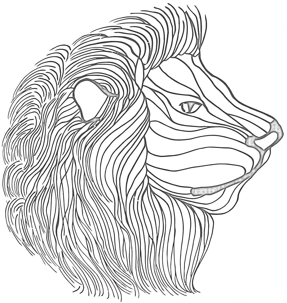 Раскраска Антистресс раскраска лев с узорами из линий