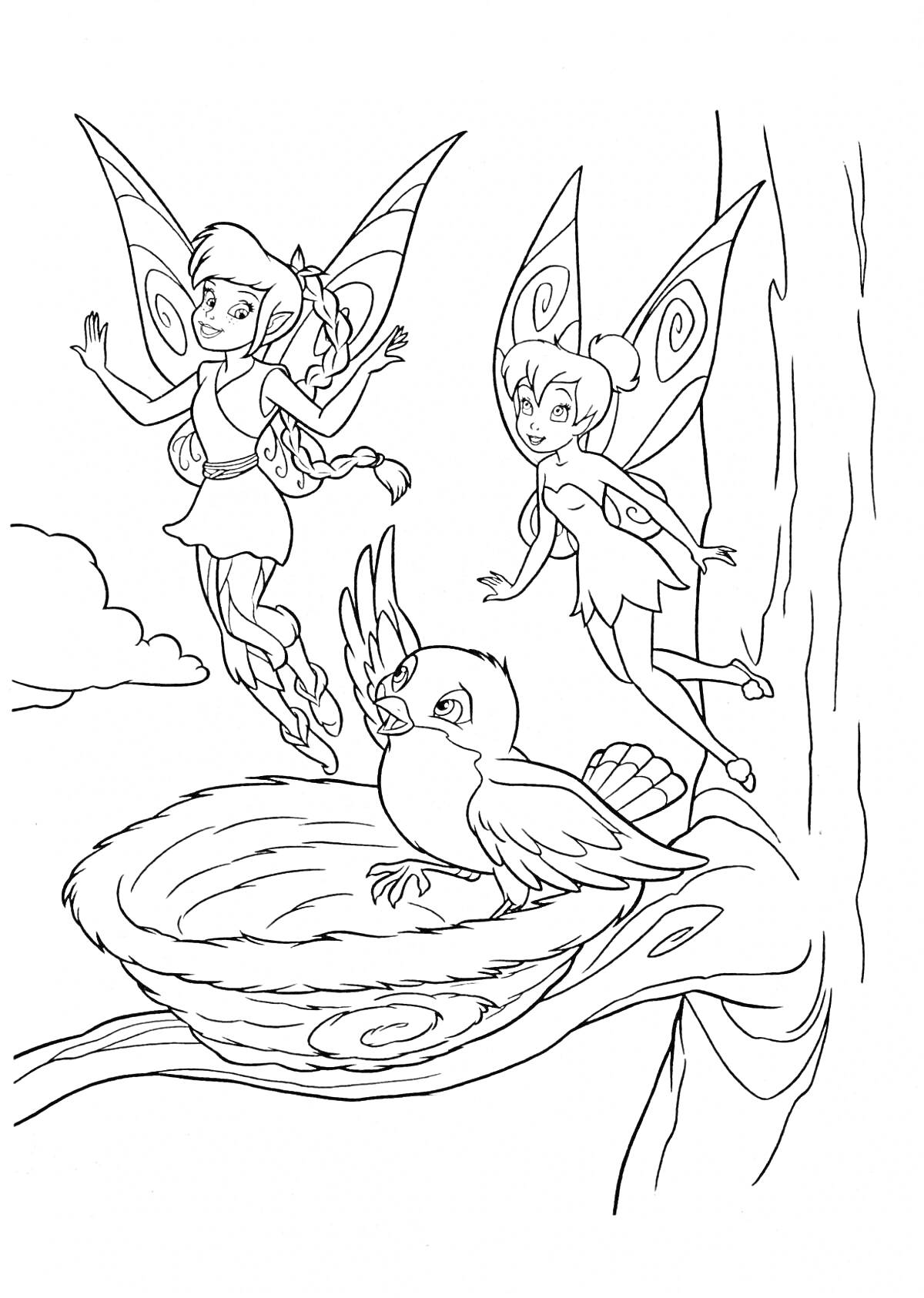 Раскраска Феи, летающие над гнездом с птицей на дереве