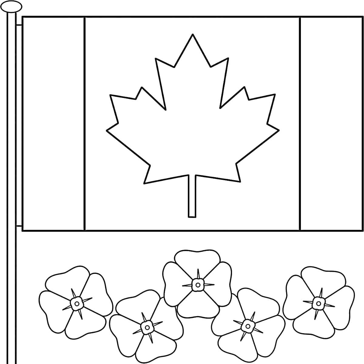 На раскраске изображено: Флаг, Канада, Цветы, Патриотизм, Символика