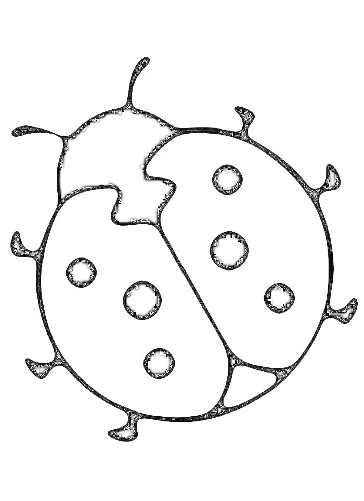 Раскраска божья коровка с пятнами на корпусе
