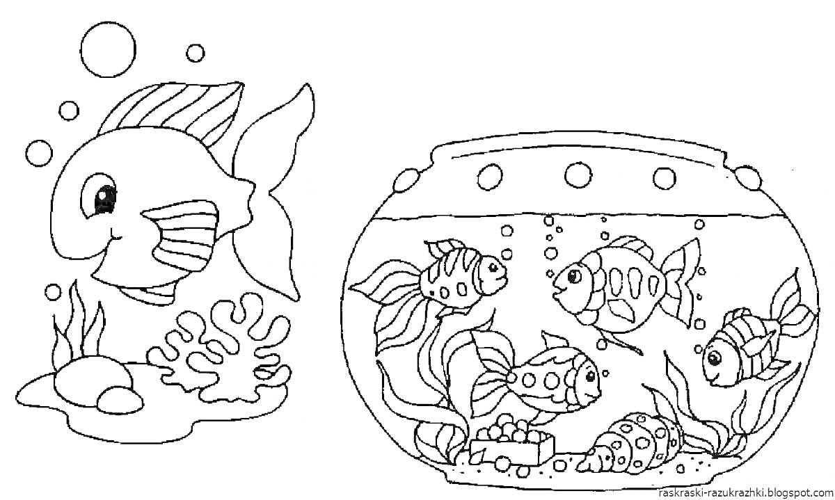 Раскраска Рыбы в стеклянном аквариуме с водорослями и камнями