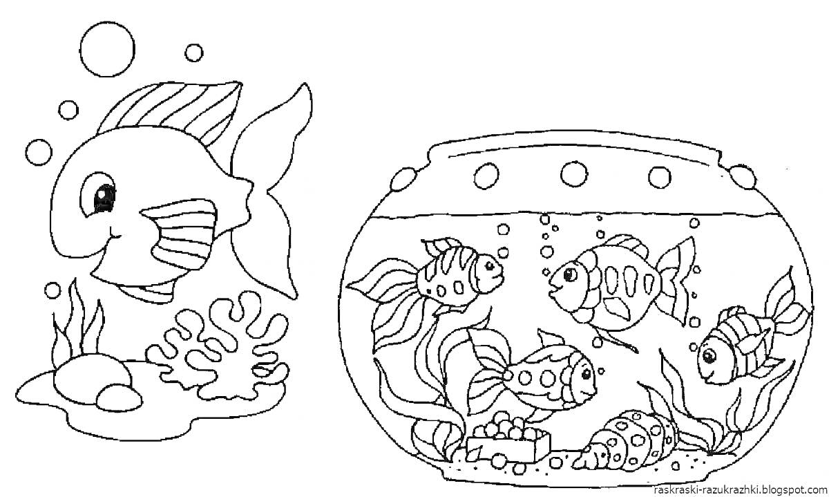 На раскраске изображено: Аквариум, Подводный мир, Водоросли, Камни, Пузыри, Малышам, Развлечения, Творчество, Кораллы