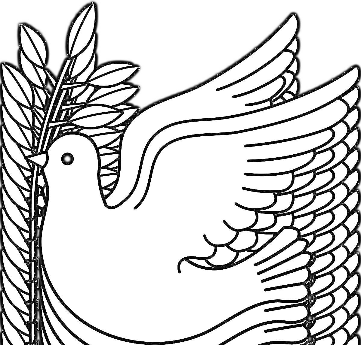 На раскраске изображено: Птица, Для детей, Крылья, Листья, Мир, Ветка, Голуби