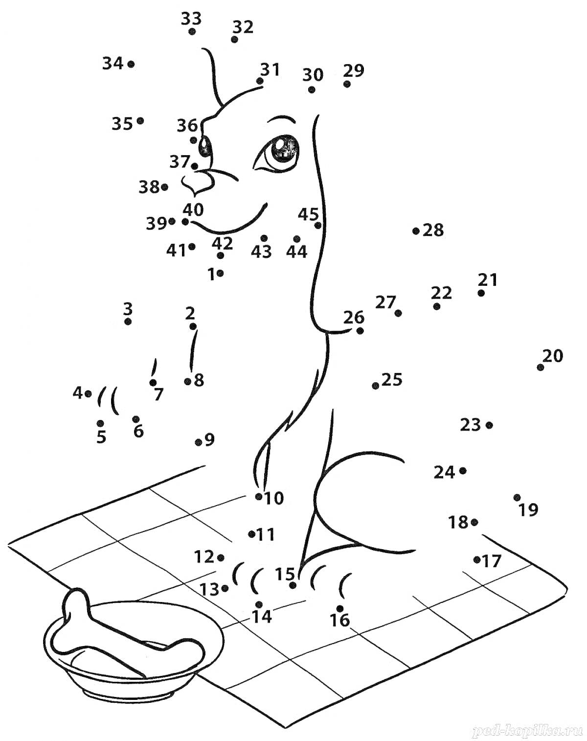 Раскраска Собака на коврике с миской и косточкой, соедини числа по порядку до 100