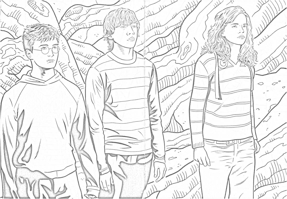 На раскраске изображено: Гарри Поттер, Три персонажа, Деревья, Лес, Друзья, Приключения