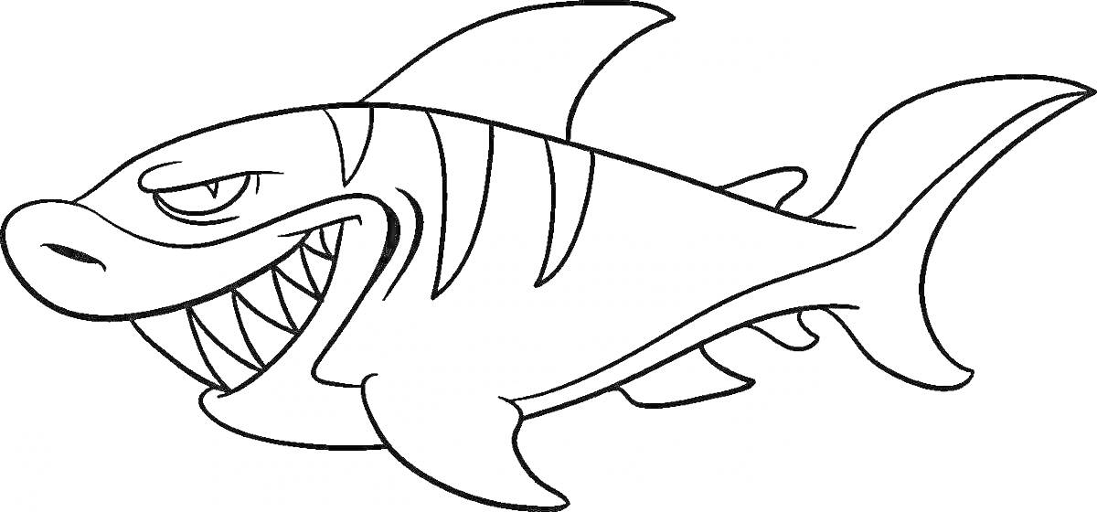 Раскраска Акула с острозубой ухмылкой на белом фоне